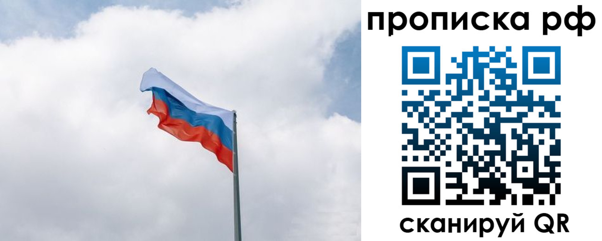 прописка гарантия в Бийске